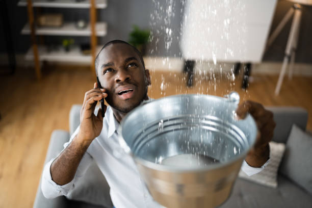 Best Water damage restoration process  in Yacolt, WA