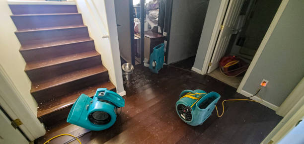 Best Ceiling water damage repair  in Yacolt, WA