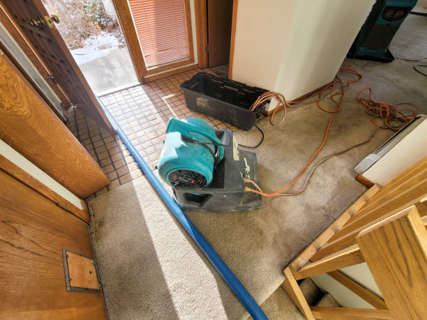 Best Water damage restoration near me  in Yacolt, WA