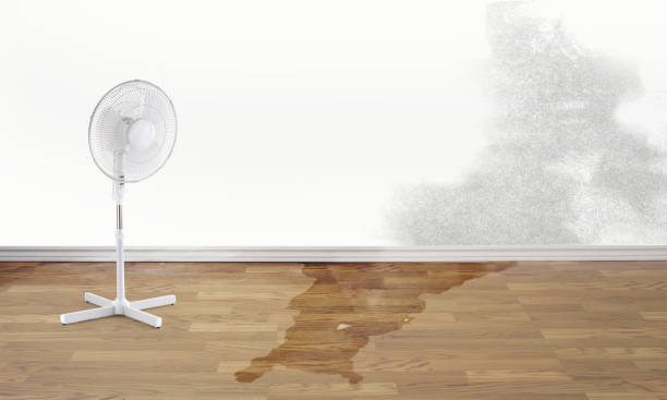 Best 24-hour water damage restoration  in Yacolt, WA