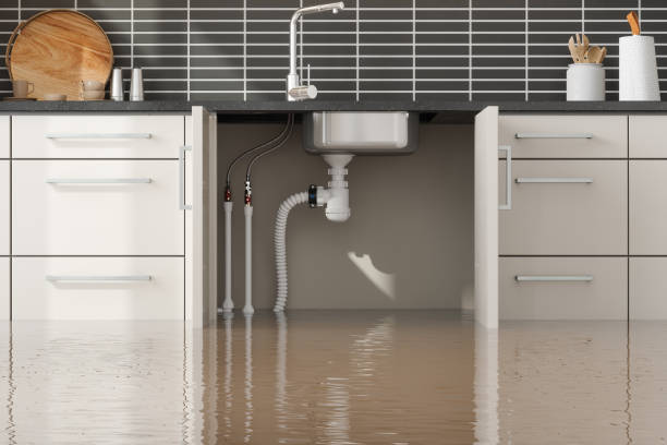Best Local water damage restoration  in Yacolt, WA
