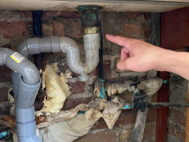 Best Basement water damage restoration  in Yacolt, WA