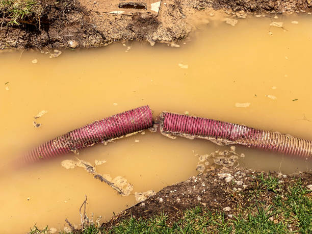 Best Flood restoration services  in Yacolt, WA