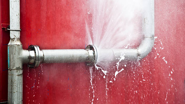 Best Mold removal after water damage  in Yacolt, WA