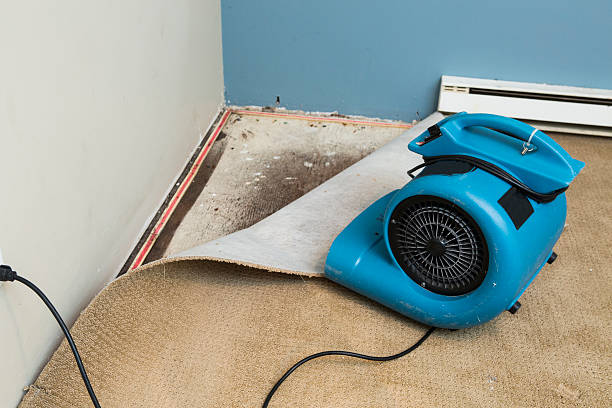 Best Commercial water damage restoration  in Yacolt, WA